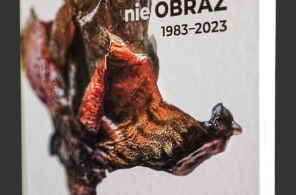 Tomasz Domański. Obraz nie Obraz 1983-2023