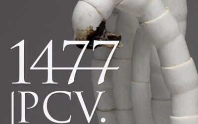 1477 PCV. Mateusz Pęk w Galerii EL