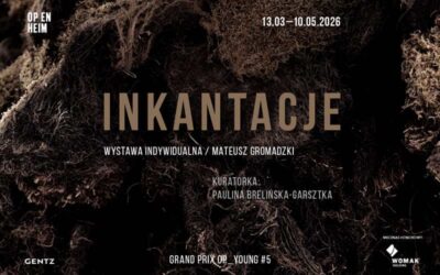 INKANTACJE   Indywidualna wystawa Mateusza Gromadzkiego | GRAND PRIX OP_YOUNG #5