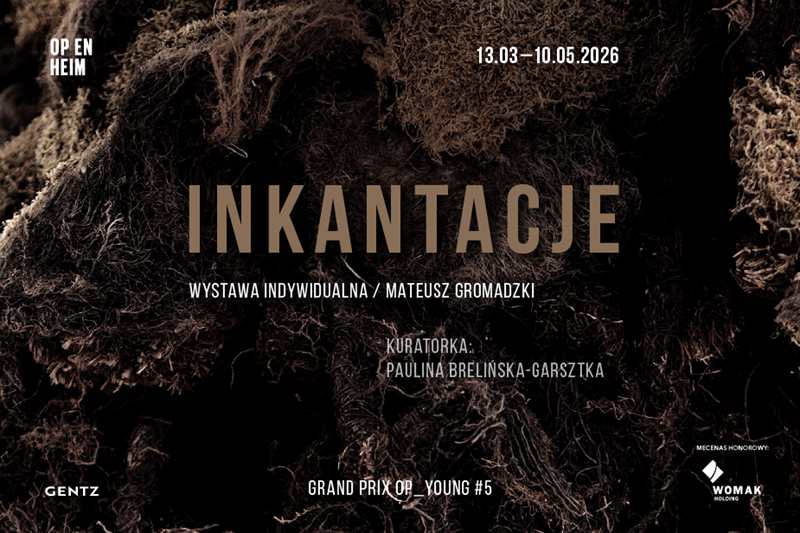INKANTACJE   Indywidualna wystawa Mateusza Gromadzkiego | GRAND PRIX OP_YOUNG #5