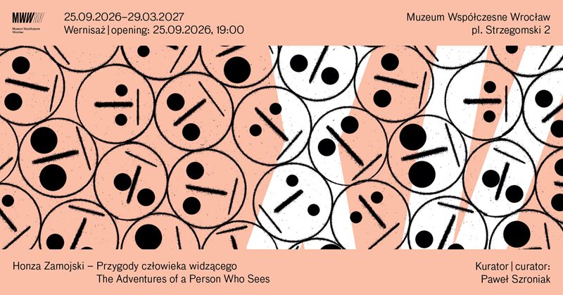 Honza Zamojski. Przygody człowieka widzącego